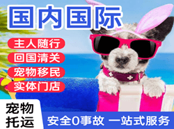 乌鲁木齐航空托运国际宠物托运 【国